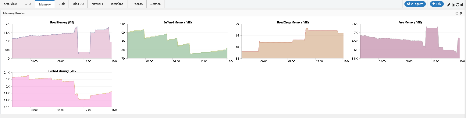 Memory historical performance graphs