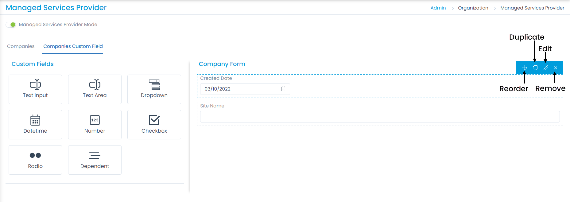 Custom Field Options